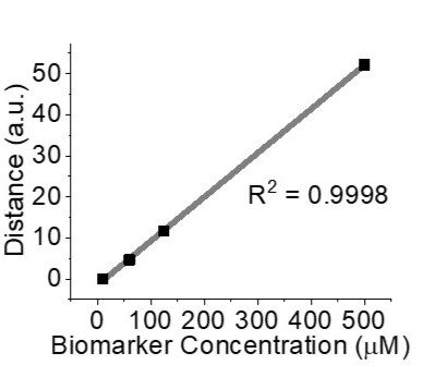 Calibration curve from the camera sensor across biomarker concentrations