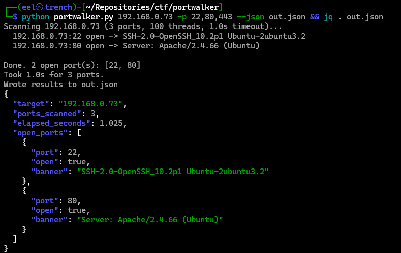 portwalker: TCP Port Scanner from Scratch hero image